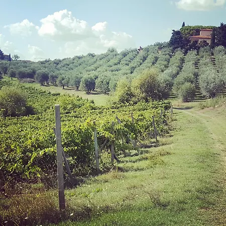 Torraiolo Barberino di Val dʼElsa
